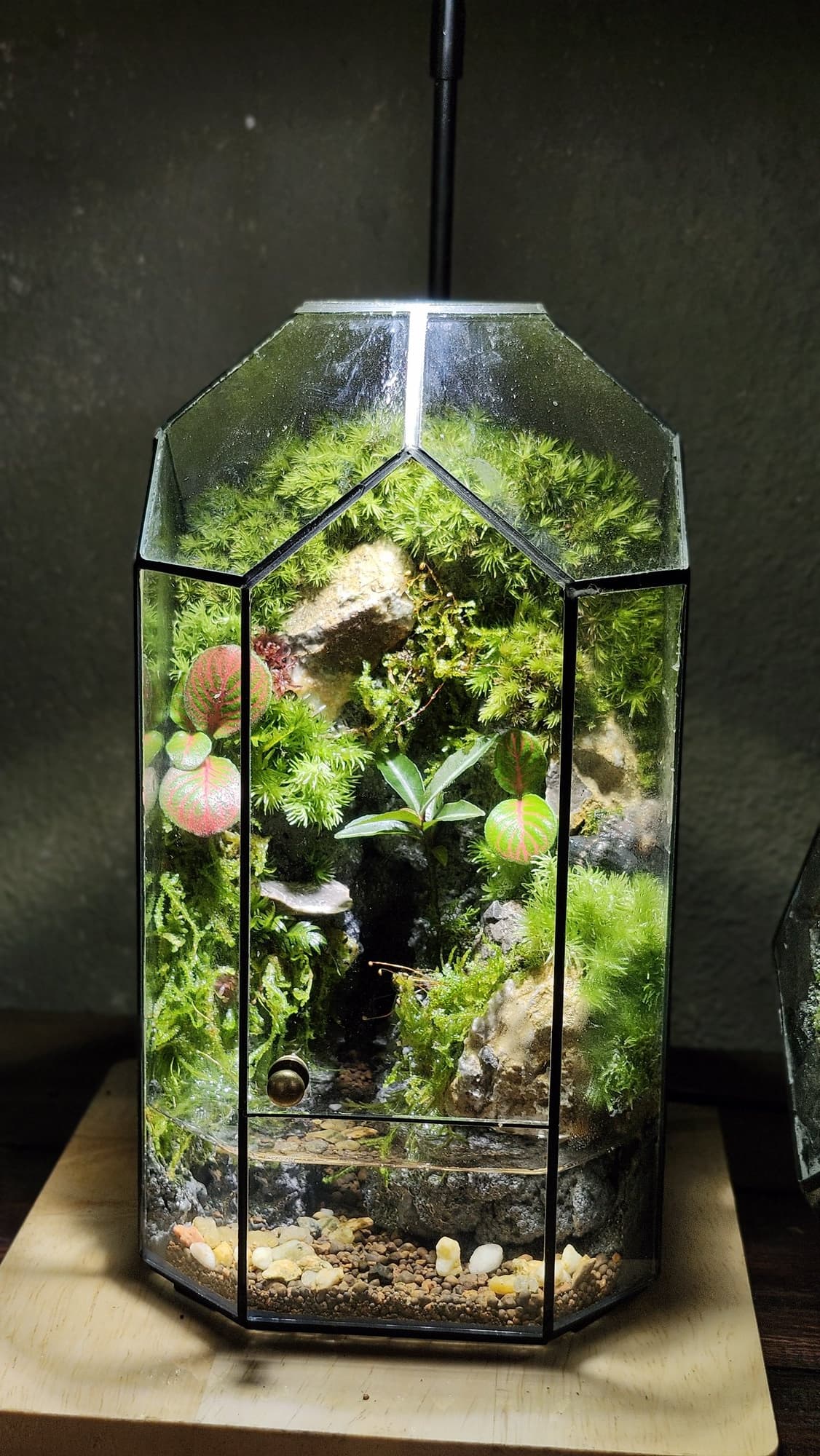 Đa Giác — Góc Hồ An Nhiên