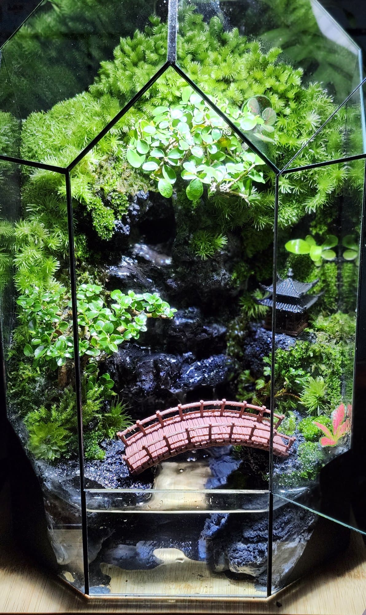 Đa Giác — Ngôi Nhà Ven Suối