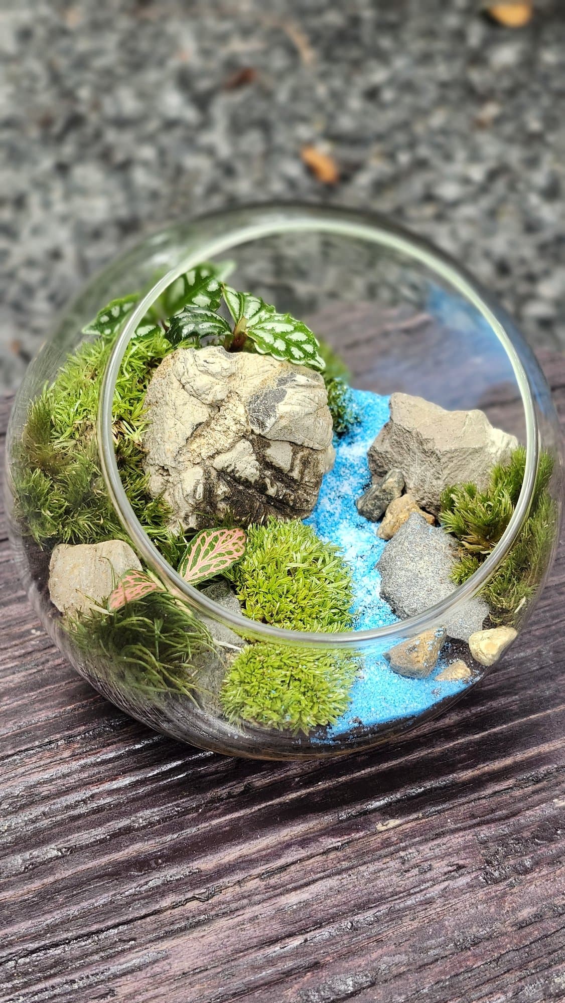 Chậu — Dòng Suối Xanh