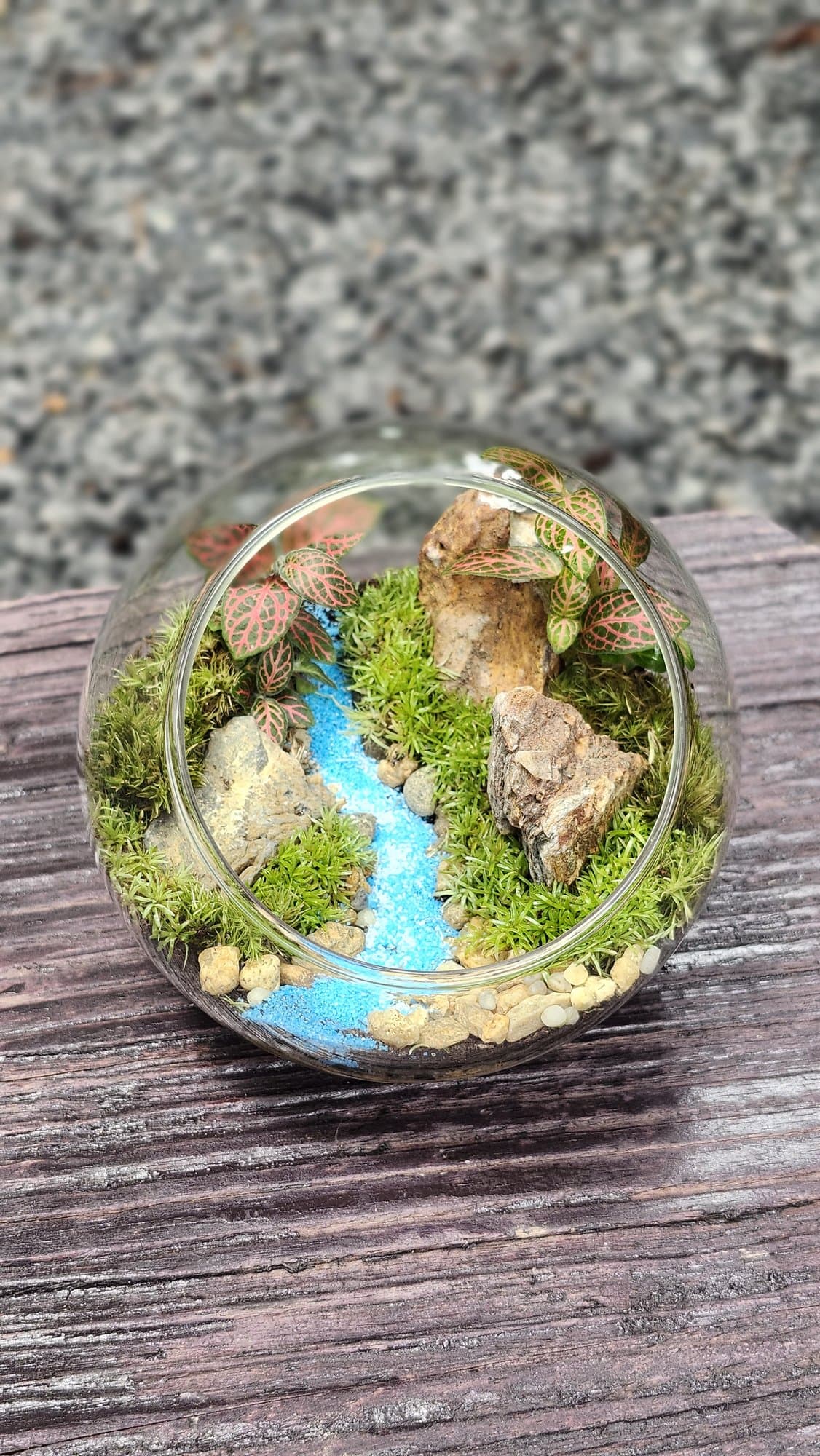 Chậu — Dòng Suối Lam