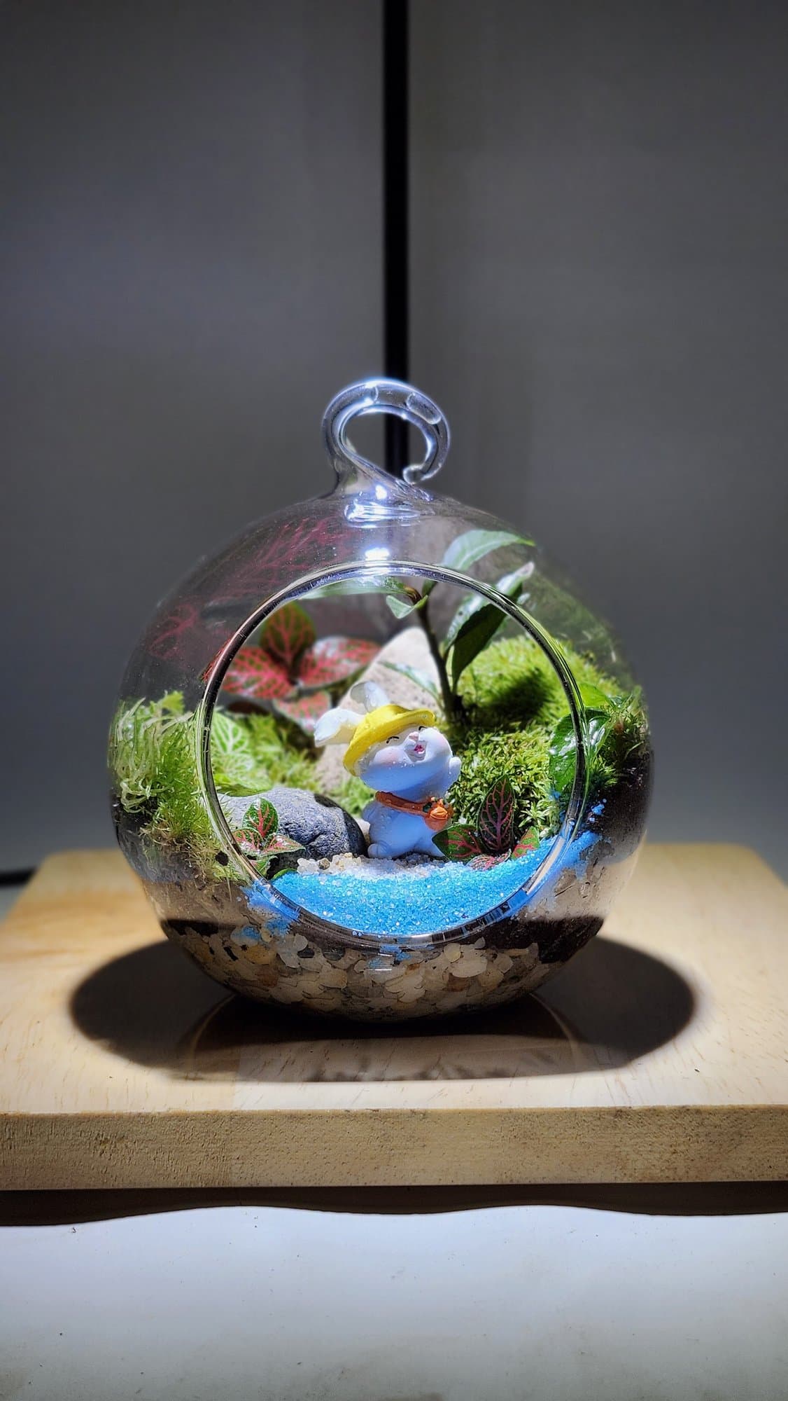 Chậu — Thỏ Bên Suối Lam