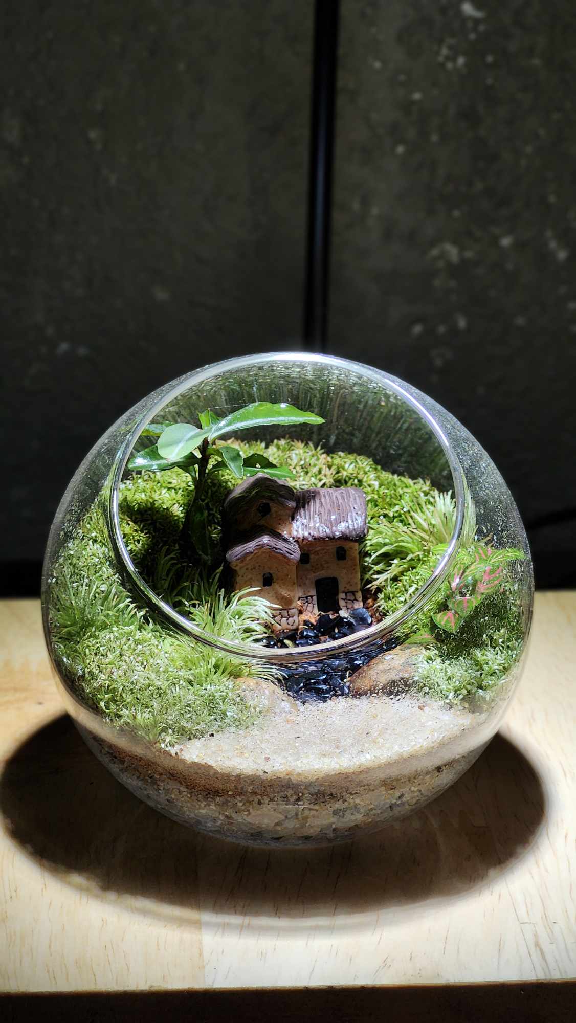 Chậu — Ngôi Nhà Quê