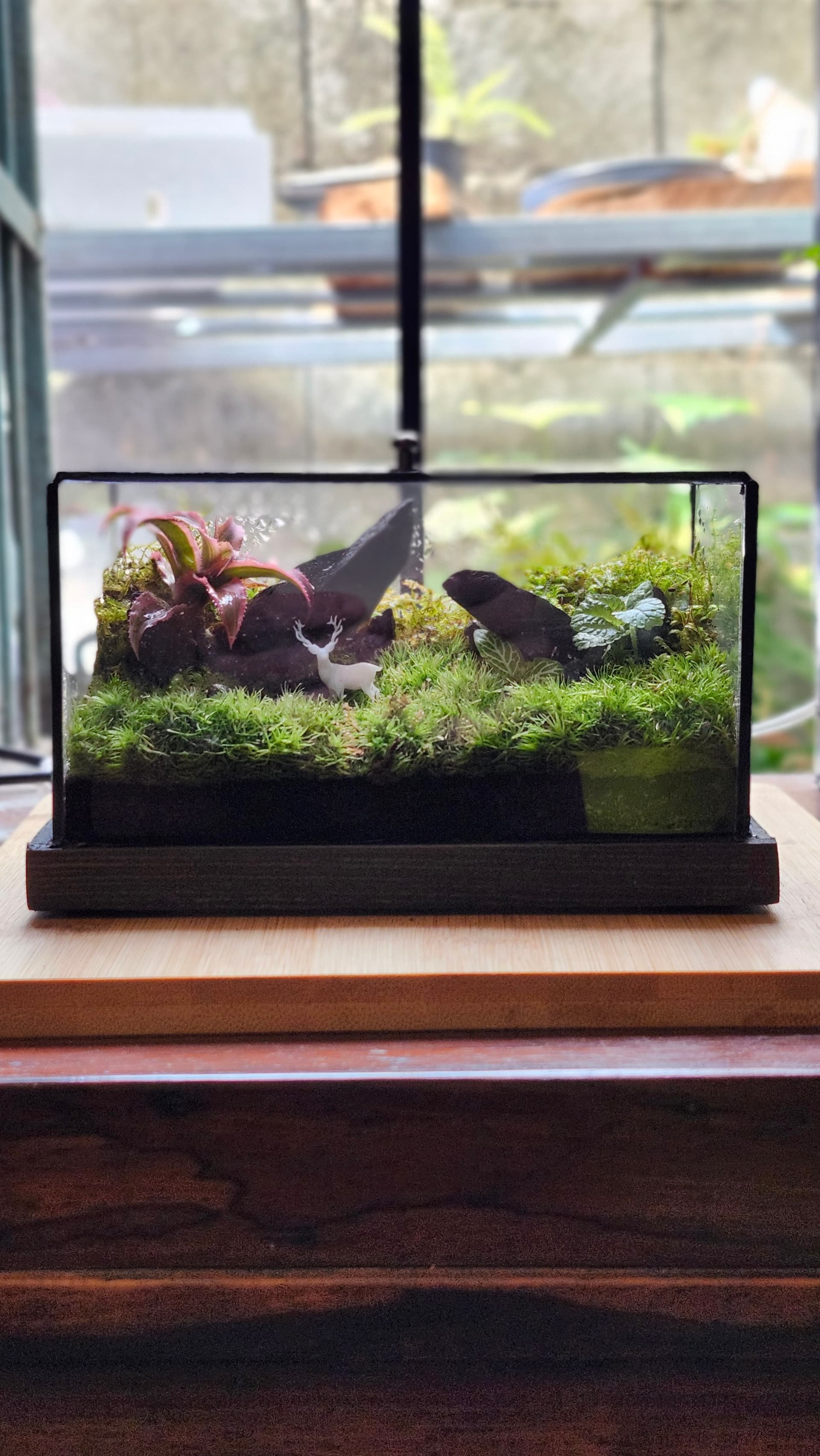 Cube — Hươu Đứng Ngàn Xanh