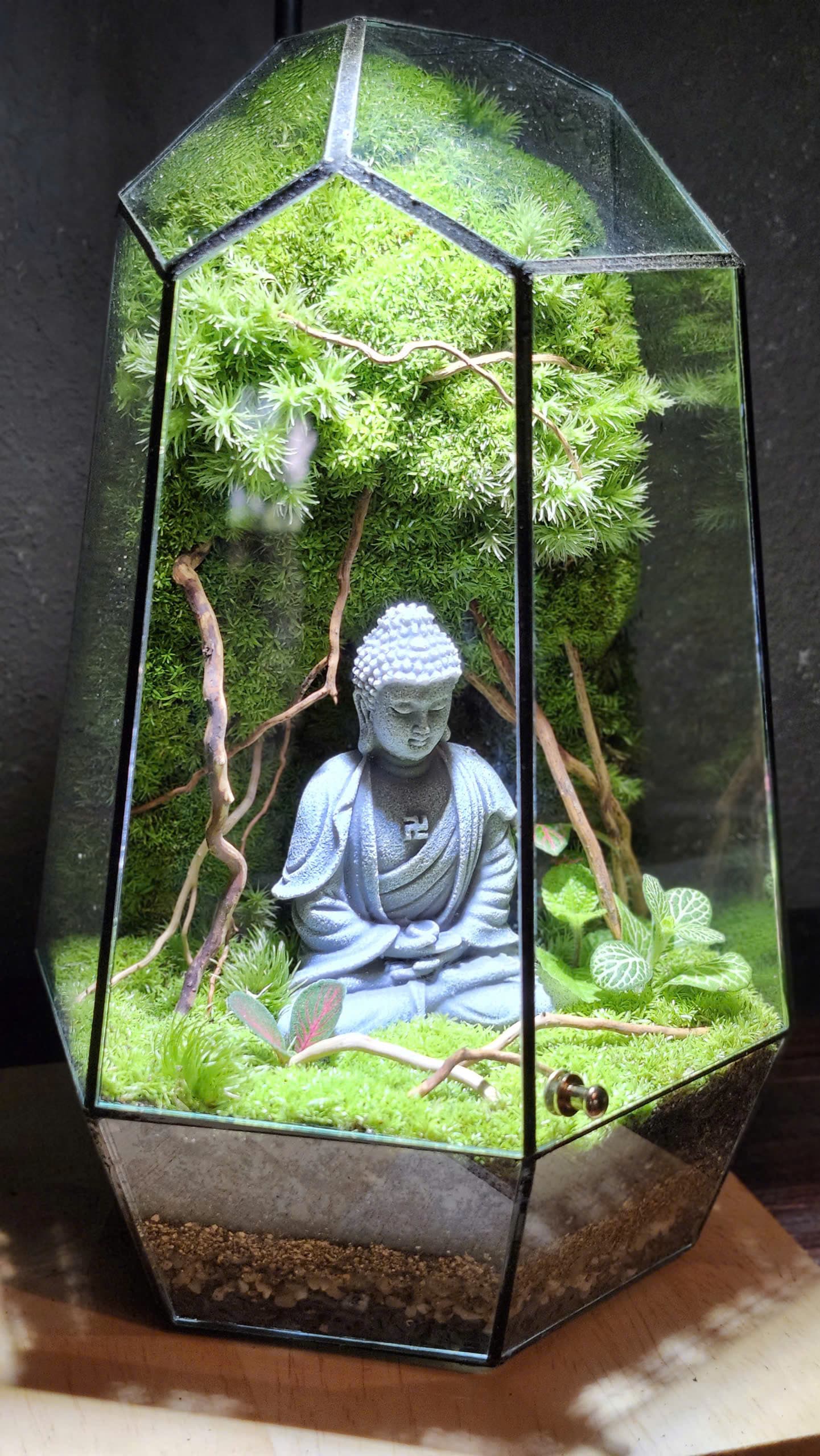 Đa Giác — Tĩnh Viên Phật